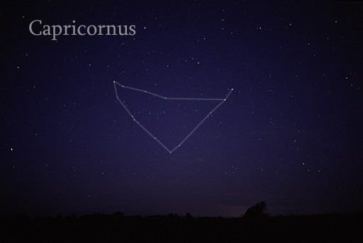 La costellazione del capricorno