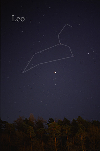 The constellation Leo