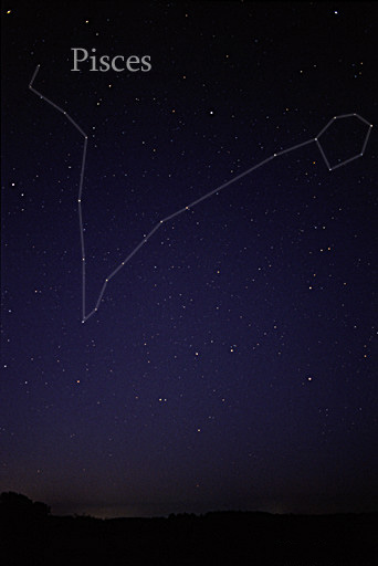 The constellation Pisces.