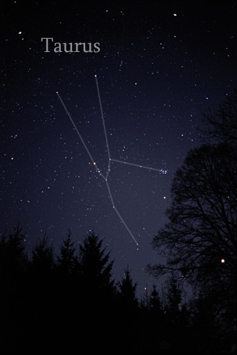 The constellation Taurus close to setting